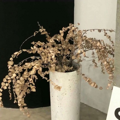 卫滨FurryQQ群介绍